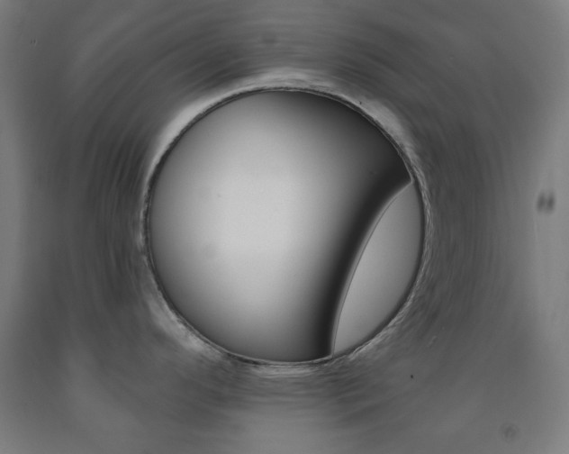 X0000093251296200709261548
