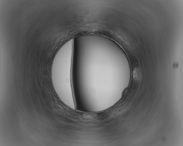 X0000093251299200709261548