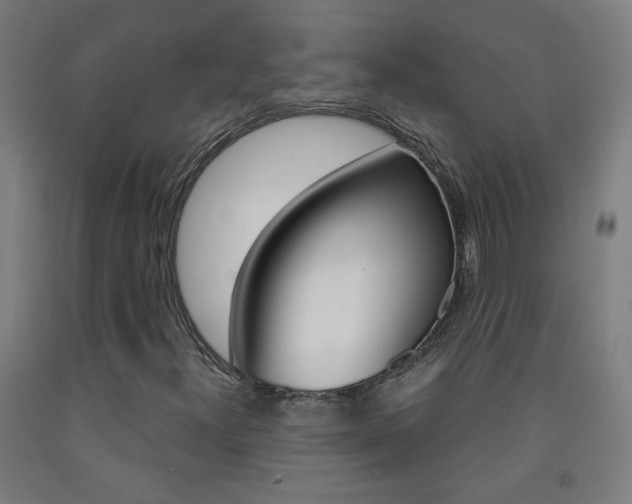 X0000093251300200709261548