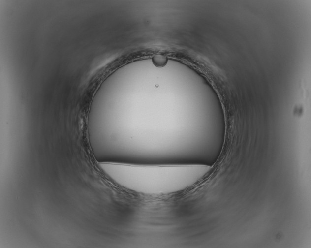 X0000093251302200709261548