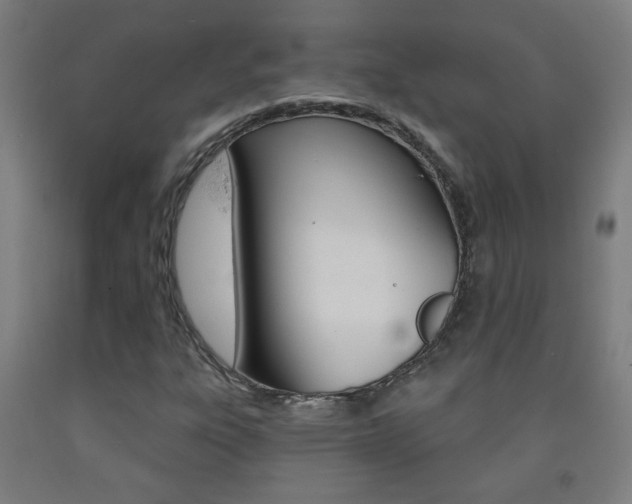 X0000093251303200709261548