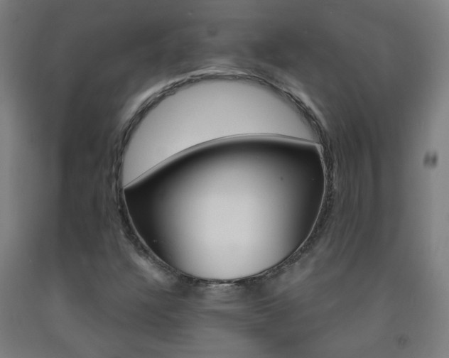 X0000093251304200709261548