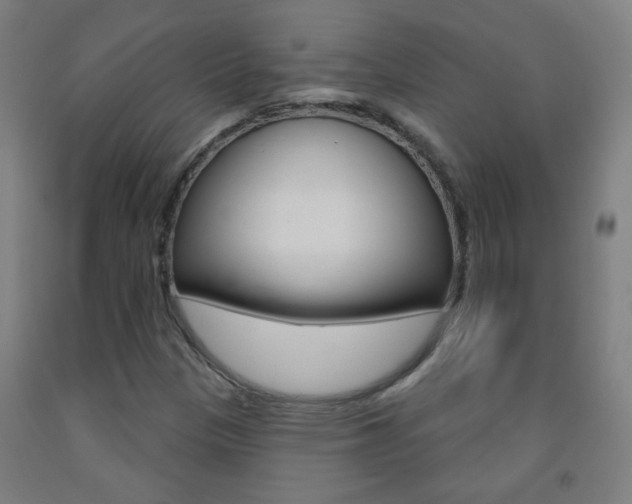 X0000093251305200709261548