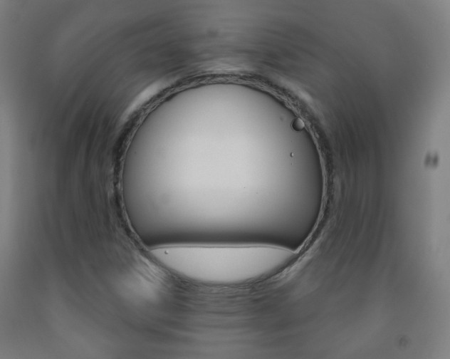X0000093251306200709261548
