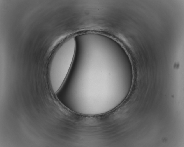 X0000093251307200709261548