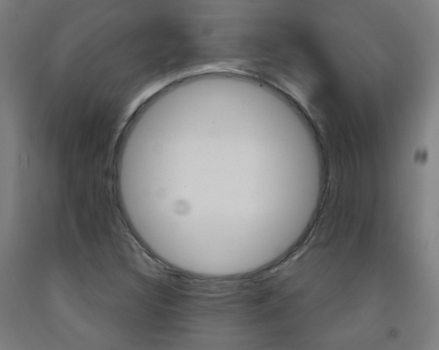 X0000093251308200709261548