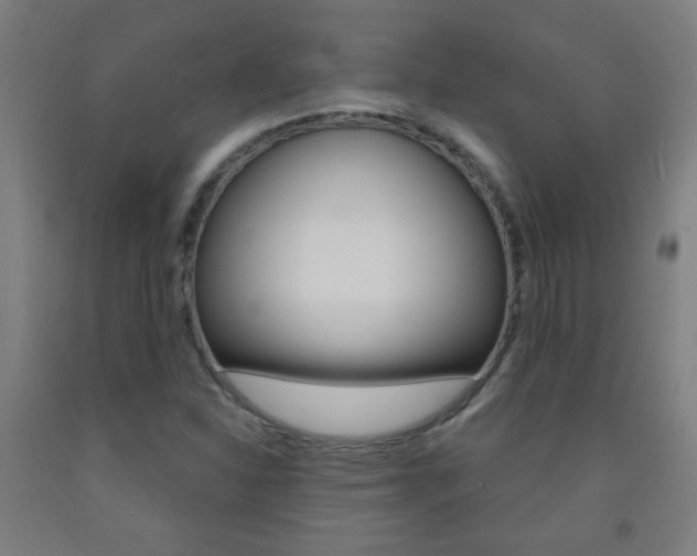 X0000093251310200709261548