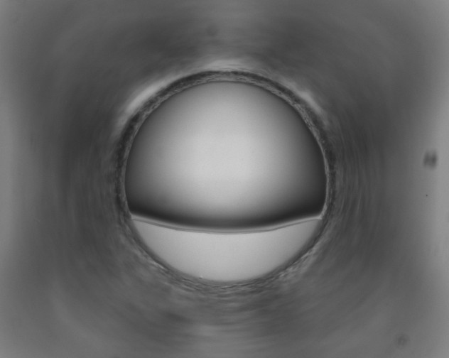X0000093251311200709261548