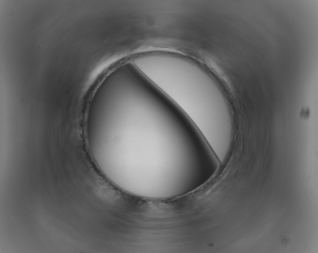X0000093251312200709261548