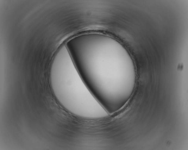 X0000093251313200709261548