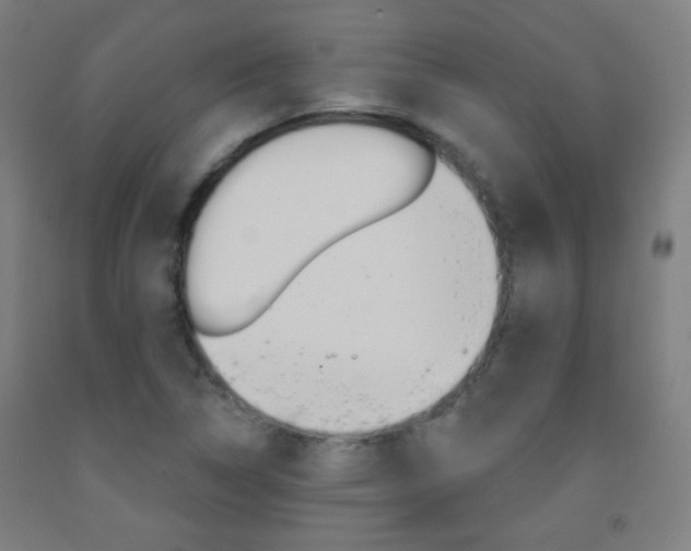 X0000093251314200709261548