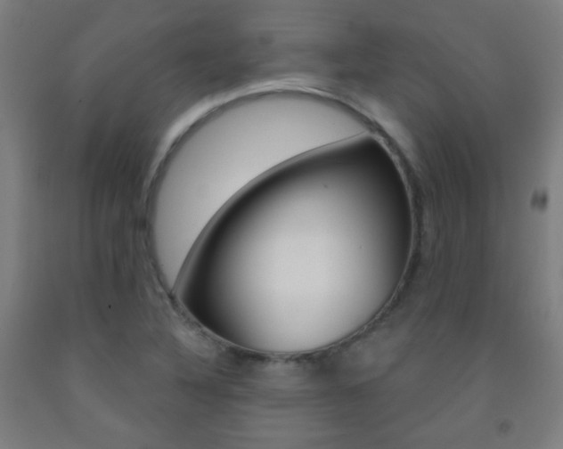 X0000093251316200709261548