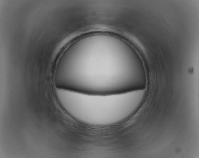 X0000093251318200709261548