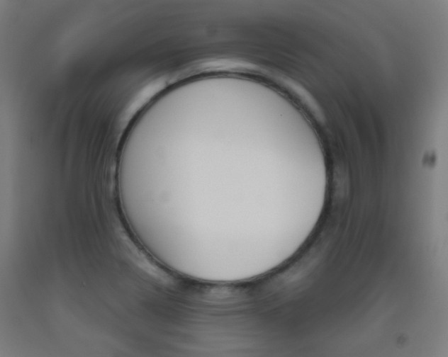 X0000093251322200709261548