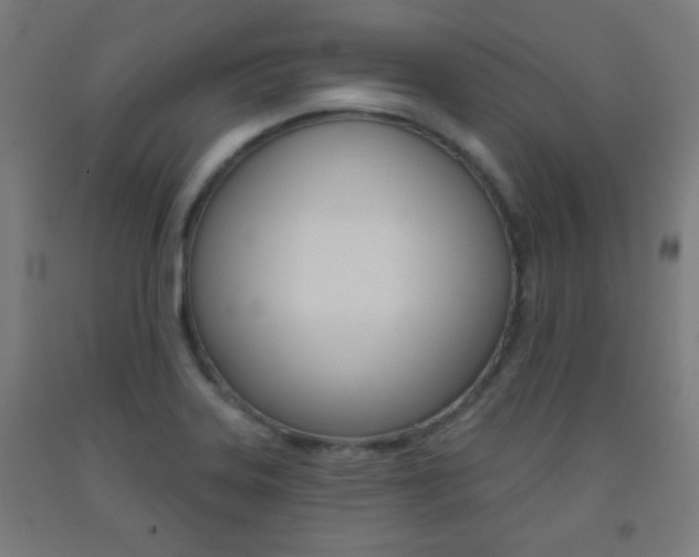 X0000093251323200709261548