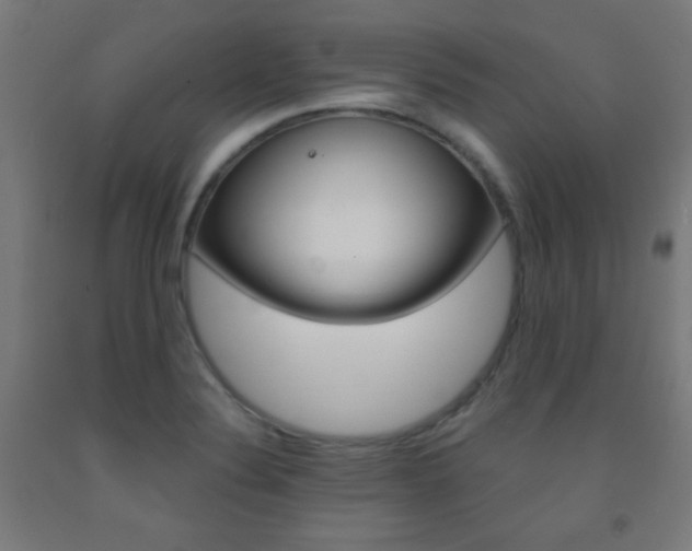 X0000093251324200709261548