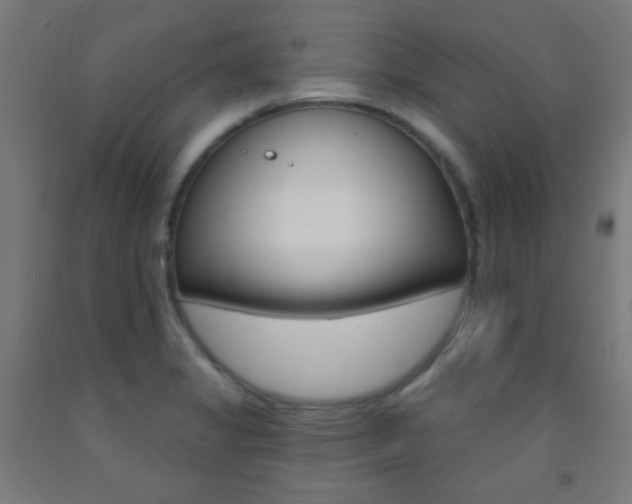 X0000093251325200709261548