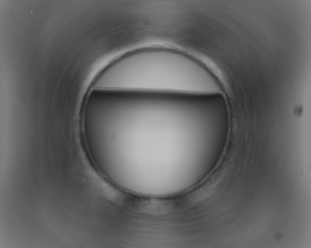 X0000093251327200709261548