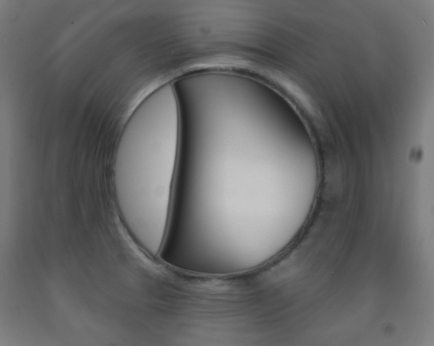 X0000093251329200709261548