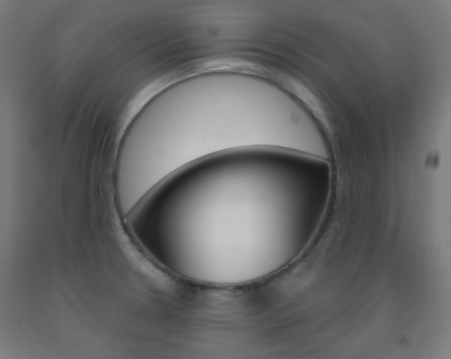 X0000093251330200709261548