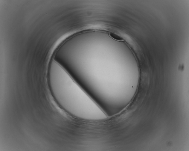 X0000093251331200709261548