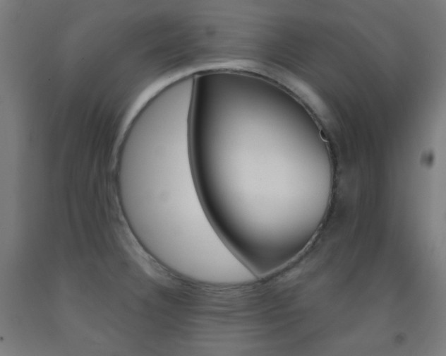 X0000093251332200709261548