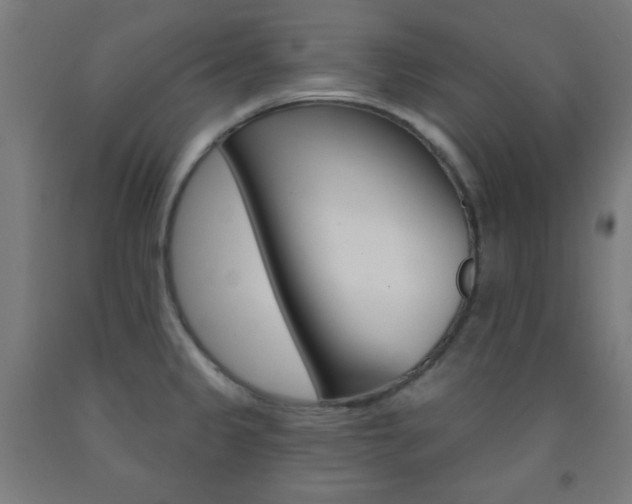 X0000093251333200709261548