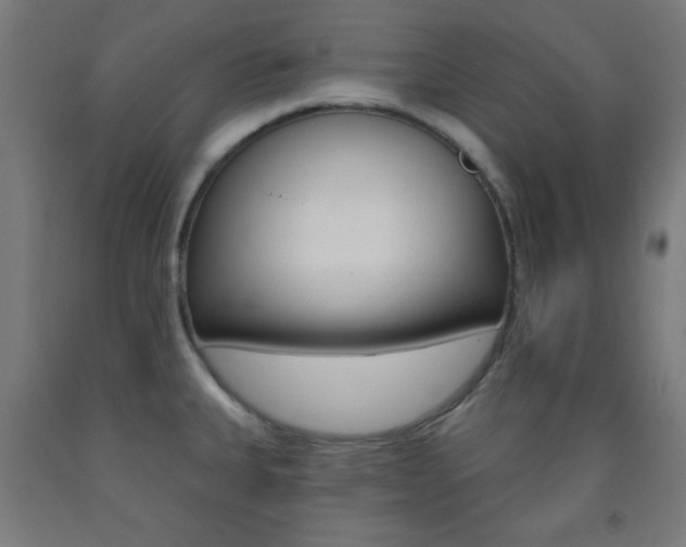 X0000093251335200709261548