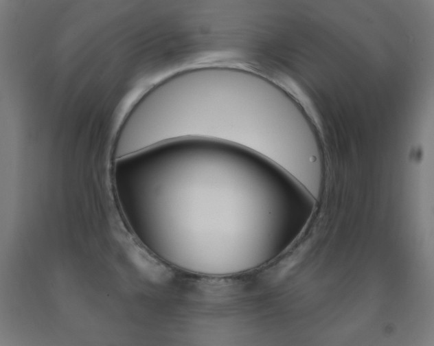 X0000093251336200709261548