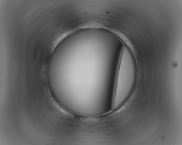 X0000093251337200709261548