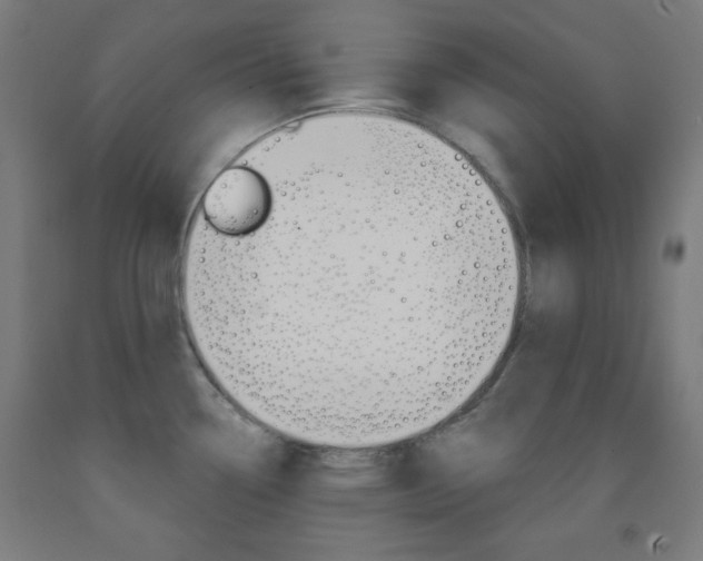 X0000093251338200709261548