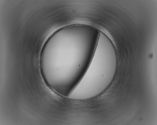 X0000093251339200709261548