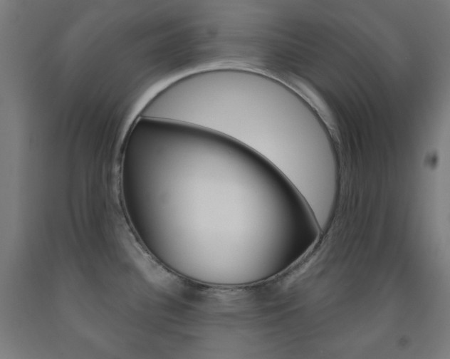 X0000093251340200709261548