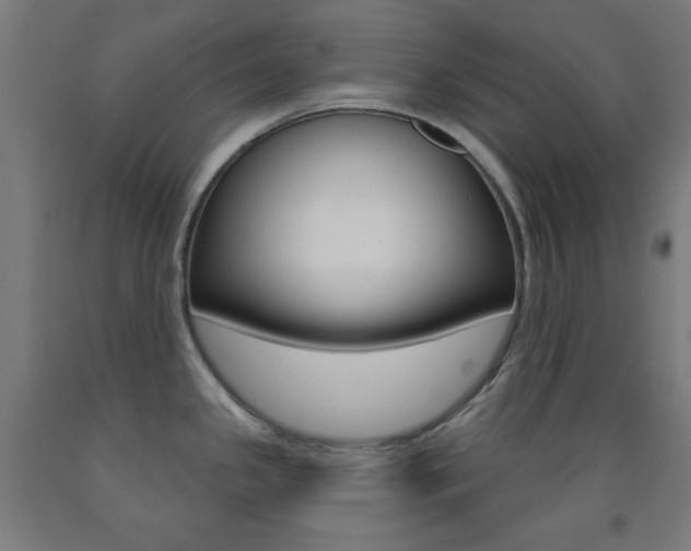 X0000093251341200709261548