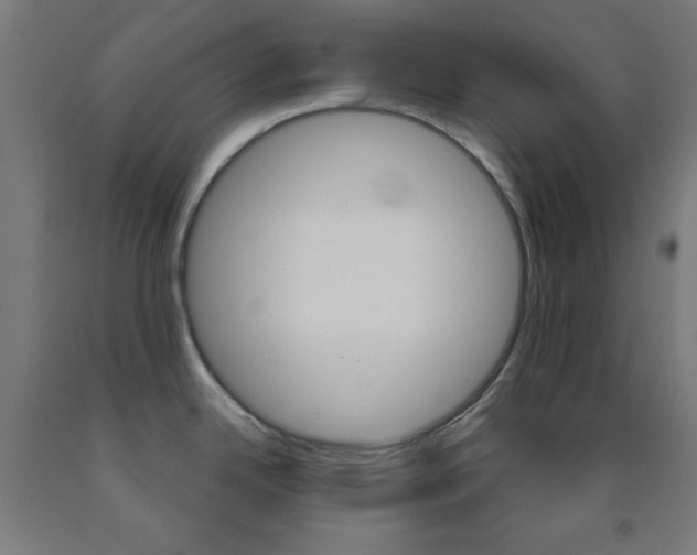 X0000093251342200709261548
