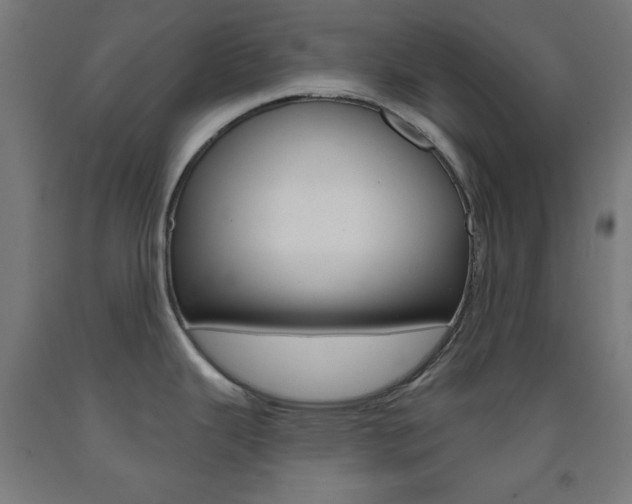 X0000093251343200709261548