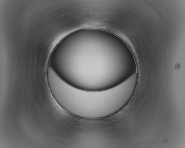 X0000093251344200709261548