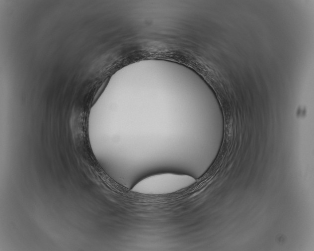X0000093251346200709261548