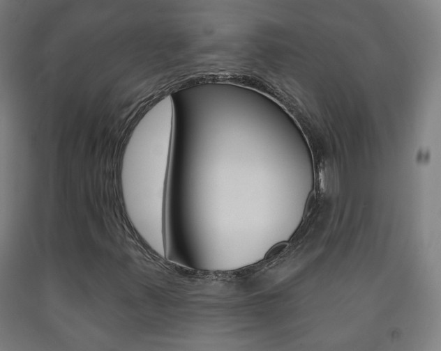 X0000093251347200709261548