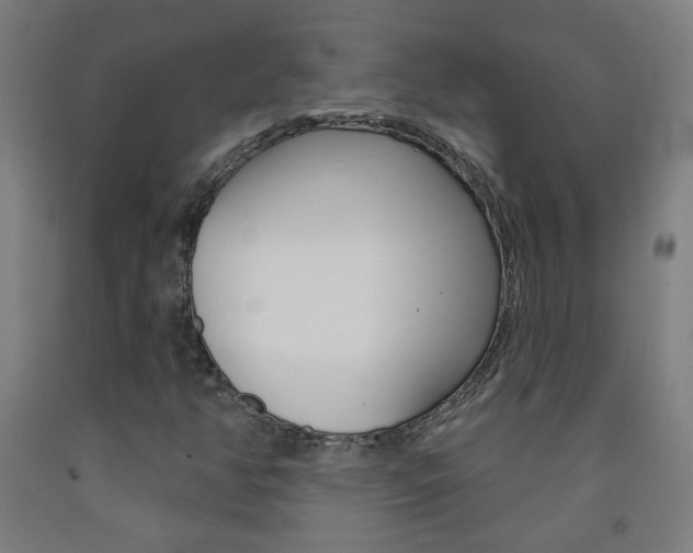 X0000093251350200709261548