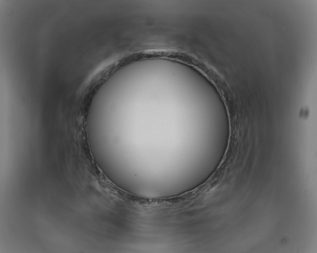 X0000093251351200709261548