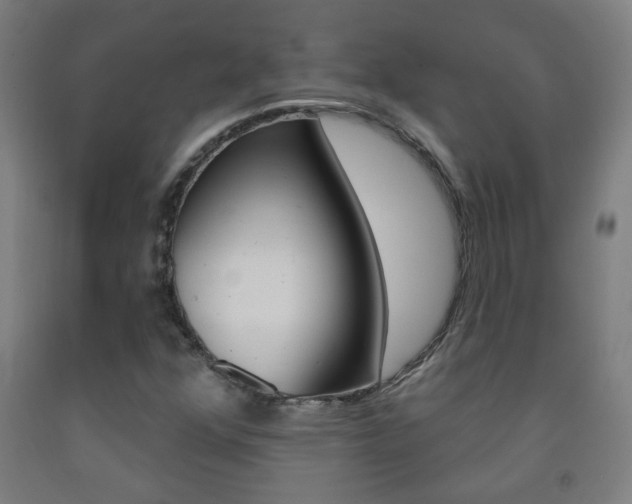 X0000093251352200709261548