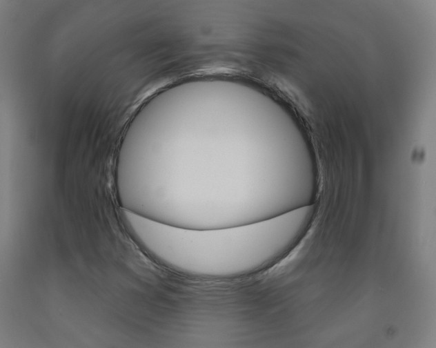 X0000093251353200709261548