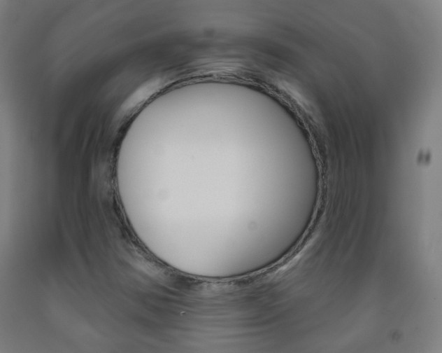 X0000093251354200709261548