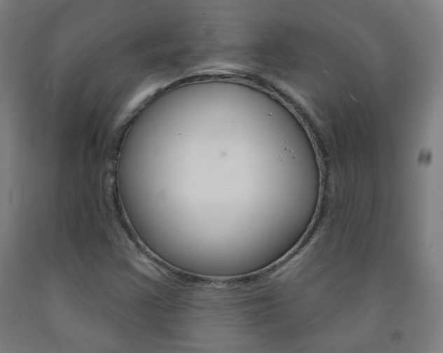 X0000093251355200709261548