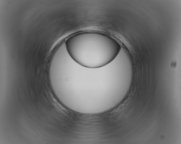 X0000093251356200709261548