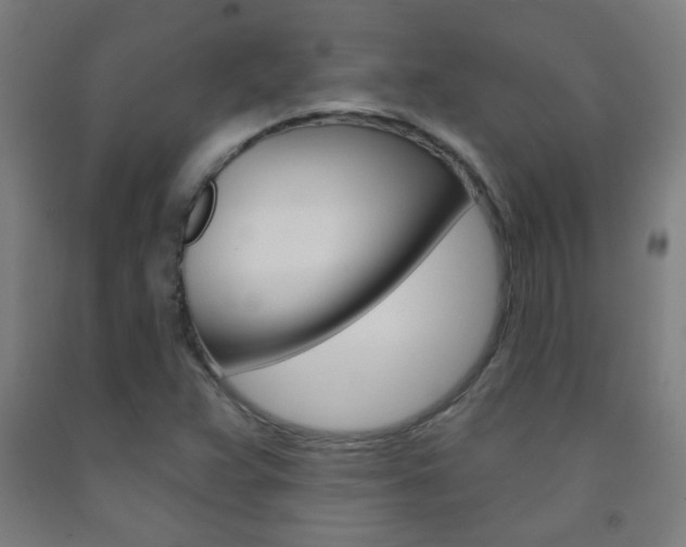 X0000093251359200709261548