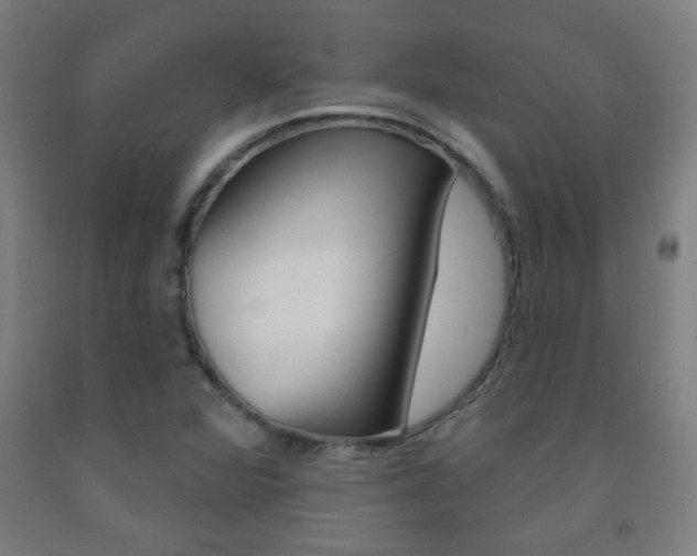 X0000093251360200709261548
