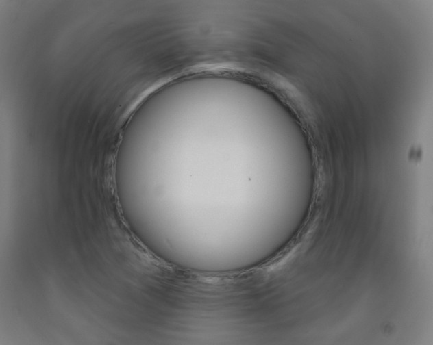 X0000093251361200709261548
