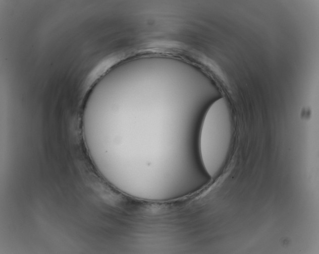 X0000093251362200709261548